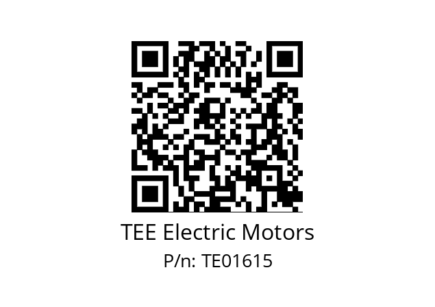   TEE Electric Motors TE01615