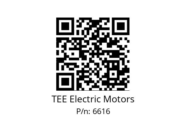   TEE Electric Motors 6616