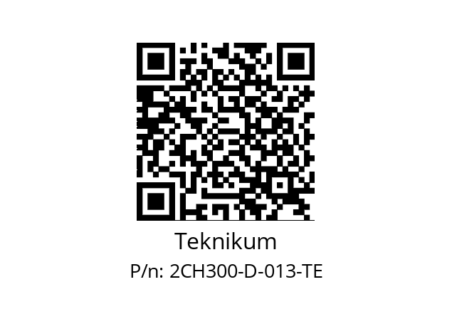   Teknikum 2CH300-D-013-TE