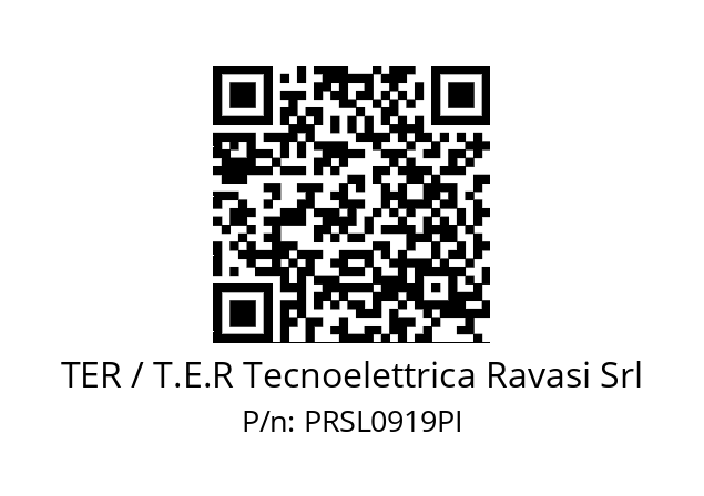   TER / T.E.R Tecnoelettrica Ravasi Srl PRSL0919PI