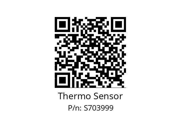   Thermo Sensor S703999