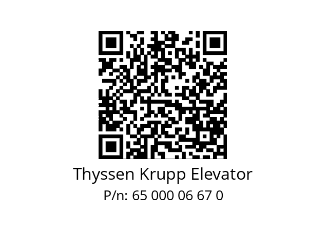   Thyssen Krupp Elevator 65 000 06 67 0