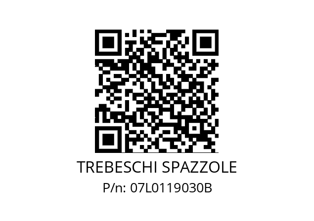   TREBESCHI SPAZZOLE 07L0119030B