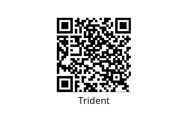  TinyGearMotor Trident 