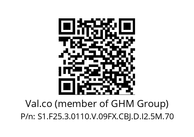   Val.co (member of GHM Group) S1.F25.3.0110.V.09FX.CBJ.D.I2.5M.70