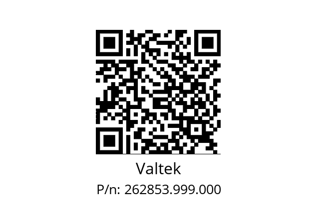   Valtek 262853.999.000