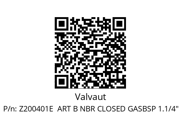   Valvaut Z200401E  ART B NBR CLOSED GASBSP 1.1/4"