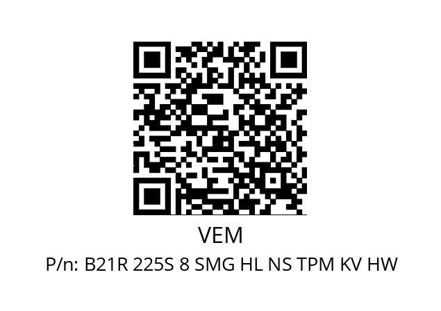   VEM B21R 225S 8 SMG HL NS TPM KV HW