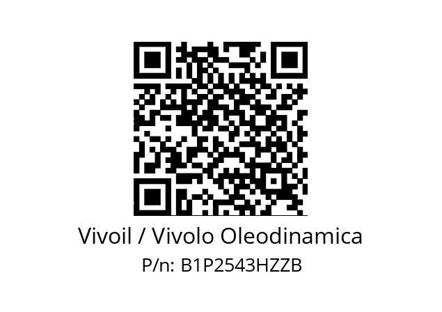   Vivoil / Vivolo Oleodinamica B1P2543HZZB