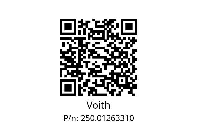   Voith 250.01263310