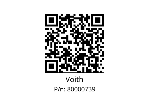   Voith 80000739