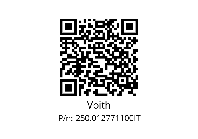   Voith 250.012771100IT