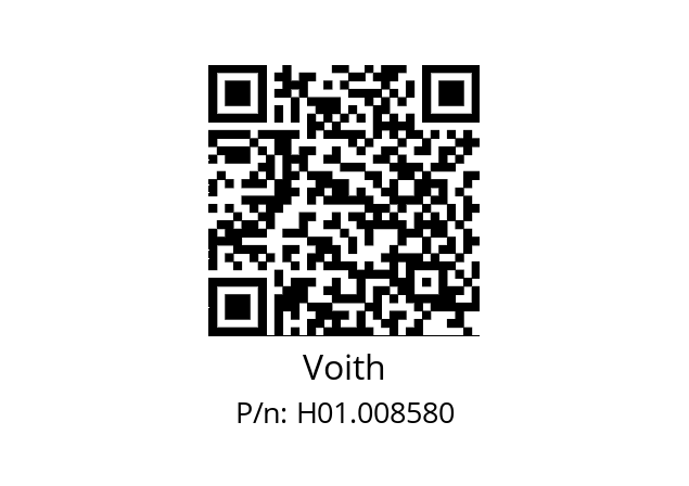   Voith H01.008580