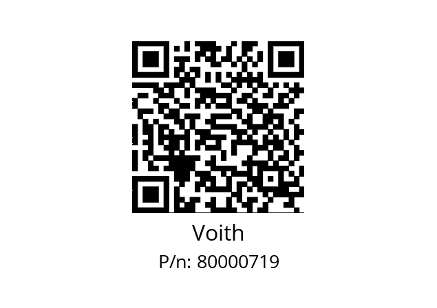   Voith 80000719