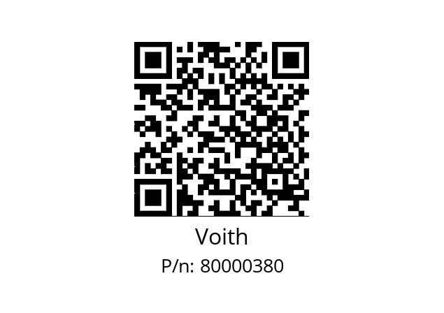   Voith 80000380