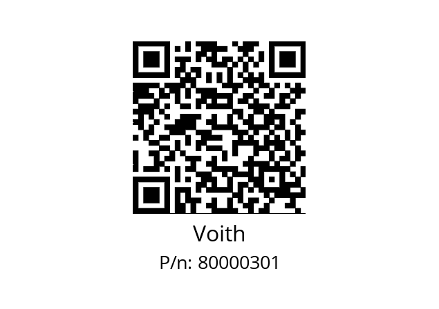   Voith 80000301