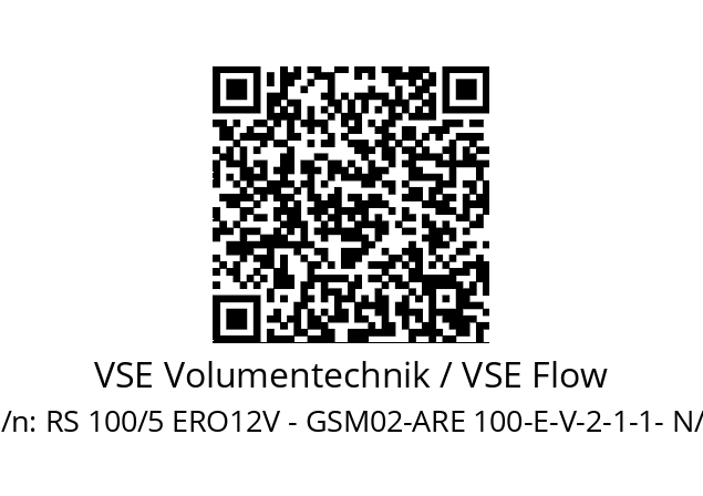   VSE Volumentechnik / VSE Flow RS 100/5 ERO12V - GSM02-ARE 100-E-V-2-1-1- N/3