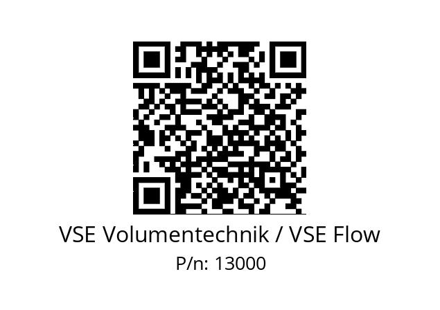   VSE Volumentechnik / VSE Flow 13000