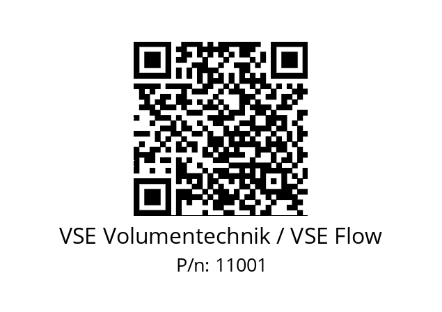   VSE Volumentechnik / VSE Flow 11001