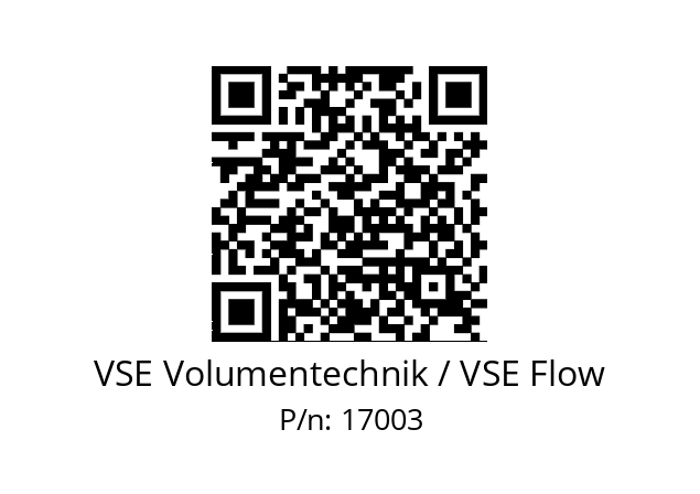   VSE Volumentechnik / VSE Flow 17003