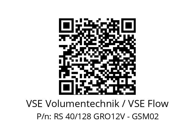   VSE Volumentechnik / VSE Flow RS 40/128 GRO12V - GSM02