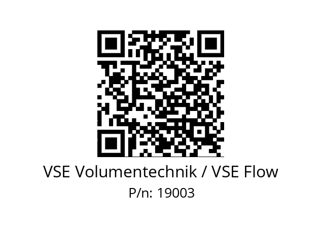   VSE Volumentechnik / VSE Flow 19003