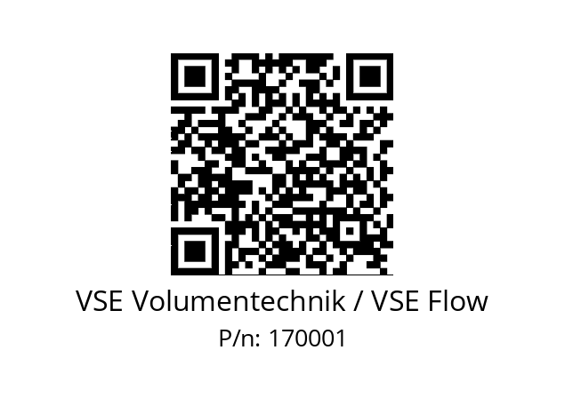   VSE Volumentechnik / VSE Flow 170001