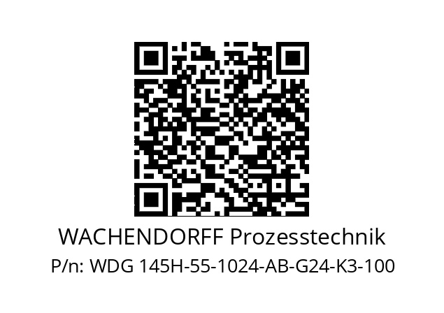   WACHENDORFF Prozesstechnik WDG 145H-55-1024-AB-G24-K3-100