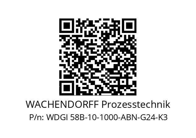   WACHENDORFF Prozesstechnik WDGI 58B-10-1000-ABN-G24-K3