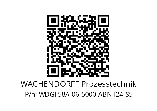   WACHENDORFF Prozesstechnik WDGI 58A-06-5000-ABN-I24-S5