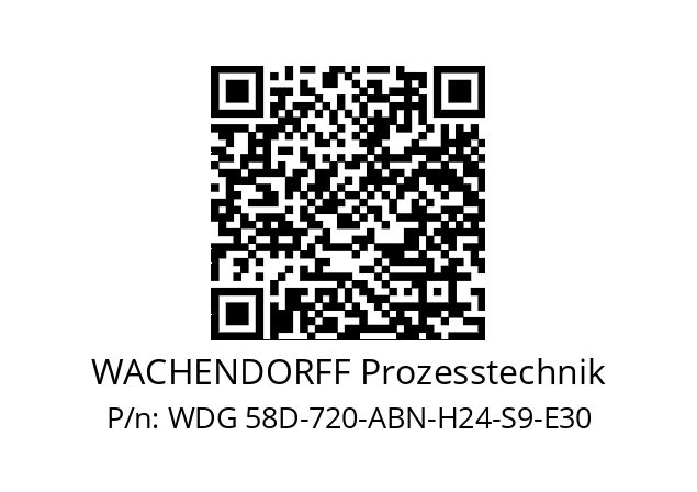   WACHENDORFF Prozesstechnik WDG 58D-720-ABN-H24-S9-E30