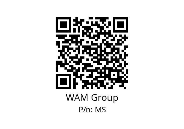   WAM Group MS