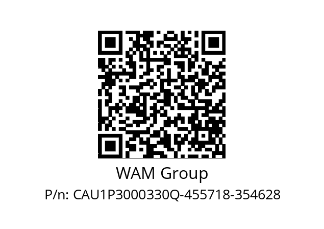   WAM Group CAU1P3000330Q-455718-354628