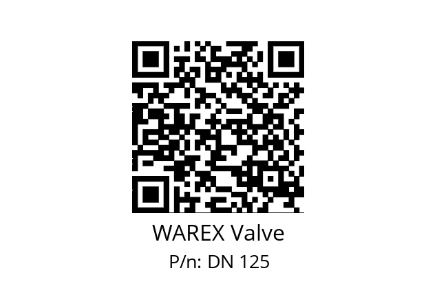   WAREX Valve DN 125