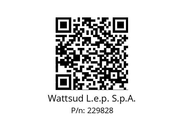   Wattsud L.e.p. S.p.A. 229828