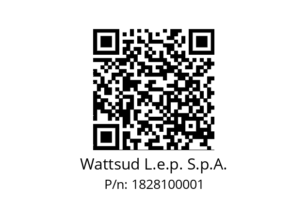   Wattsud L.e.p. S.p.A. 1828100001