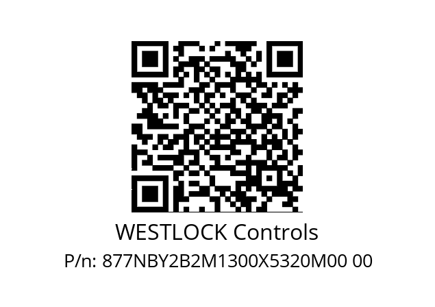   WESTLOCK Controls 877NBY2B2M1300X5320M00 00