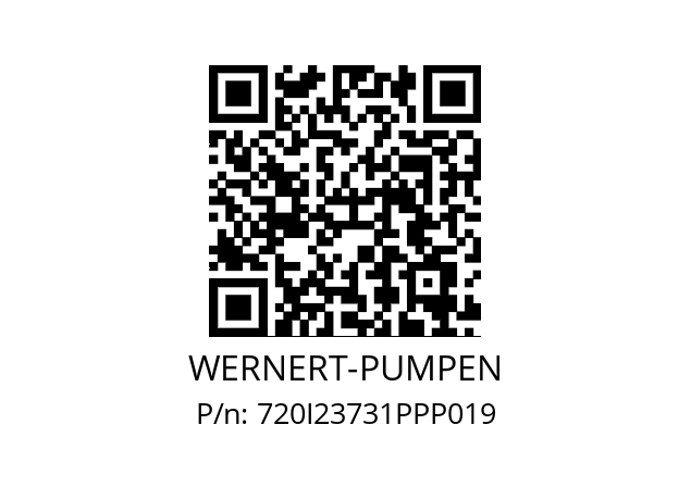   WERNERT-PUMPEN 720I23731PPP019