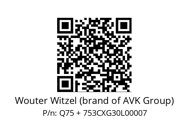   Wouter Witzel (brand of AVK Group) Q75 + 753CXG30L00007