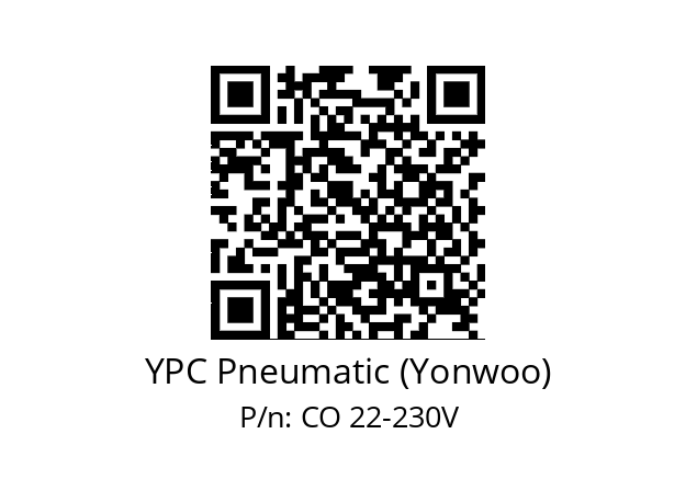   YPC Pneumatic (Yonwoo) CO 22-230V