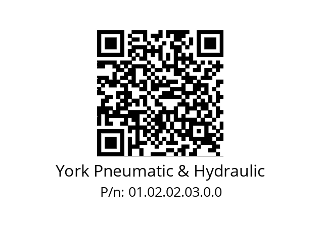   York Pneumatic & Hydraulic 01.02.02.03.0.0