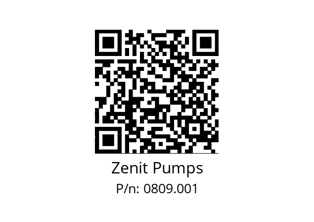   Zenit Pumps 0809.001